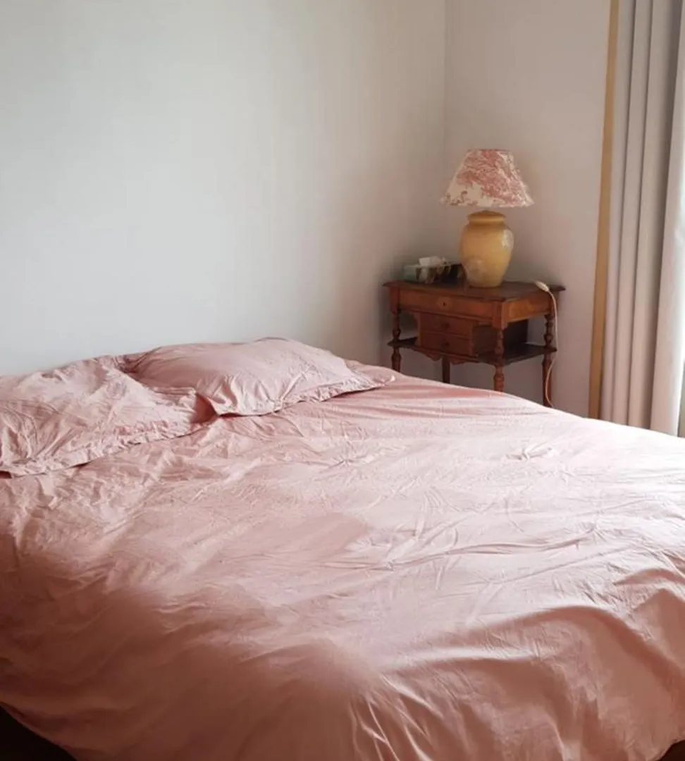 Vue Tour Eiffel Apartment Paris